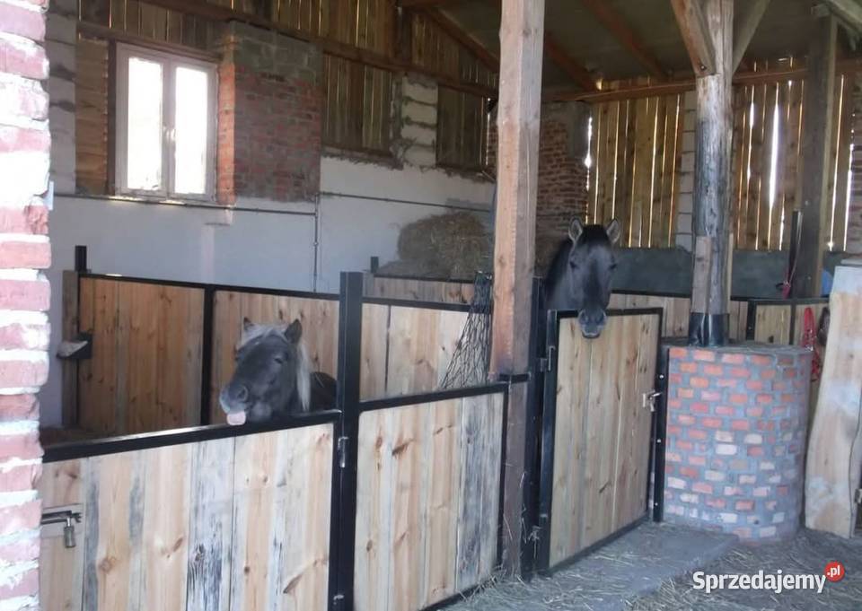 Gospodarstwo Rolne w urokliwym miejscu 13ha Sprzedaż lubuskie Jarnatów