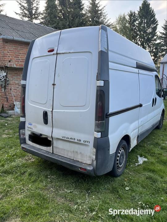 Vivaro 19 Lublin 7700 tysi