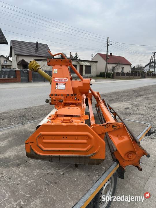 Brona wirowa maschio 25m