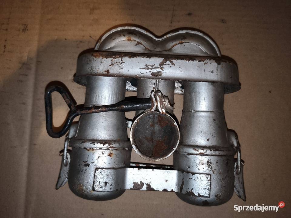 Filtr powietrza Iż 49 wielkopolskie Leszno