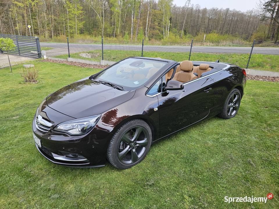 Opel Cascada 20 cdti 170 Kabriolet śląskie Rybnik