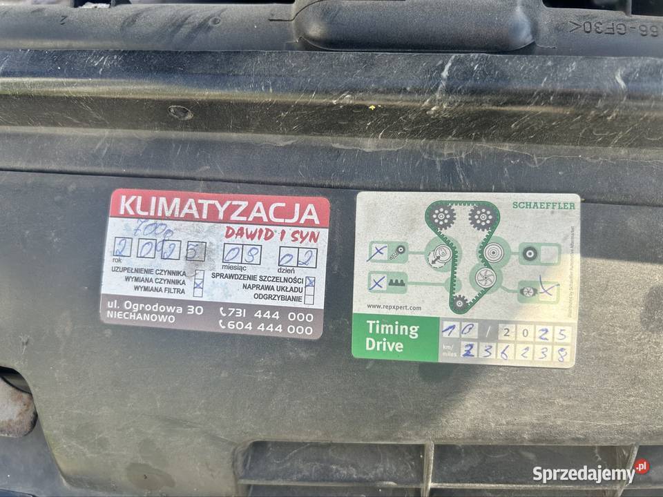 sprzedam dziś taka 4/5 wielkopolskie Września