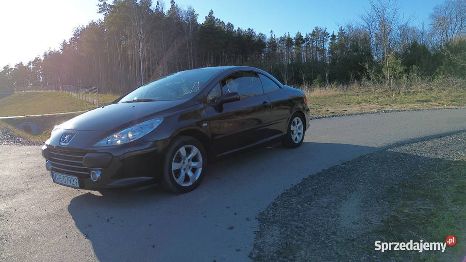 Peugeot 307 II 20 CC 20 benzyna LPG 2007 polift Szczecinek