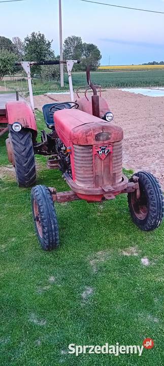 Massei ferguson 65 lubelskie Zamość sprzedam