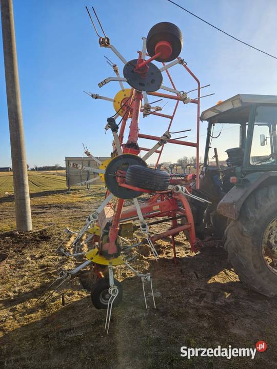 Pottinger Hit 69 wielkopolskie