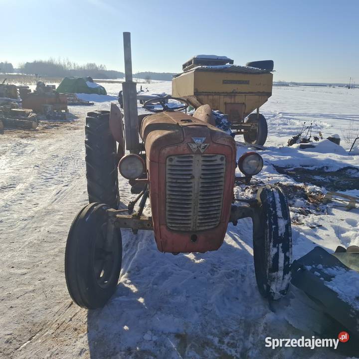 Massey ferguson Grabów nad Wisłą
