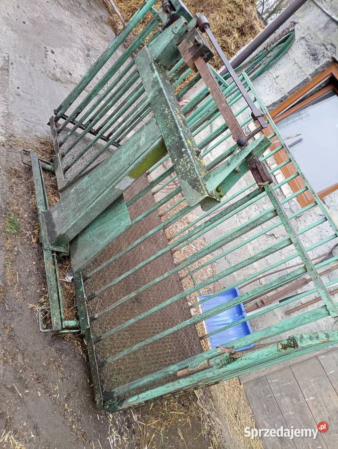 Waga do żywca bydła Nowy Korczyn