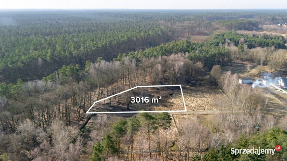 Działka pod lasem z wydanymi warunkami 120 m2 Szczecin