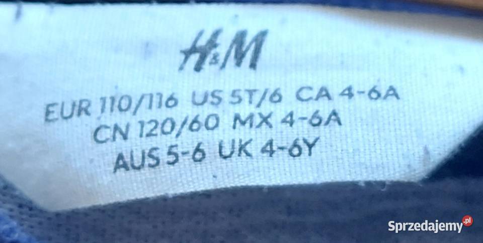 Bluza dziecięca rozmiar 110 116 H&M Ostróda