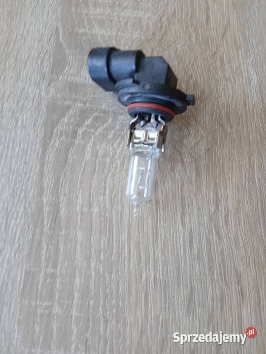 Żarówka samochodowa 9005HB3 12V 60W P20d zachodniopomorskie Szczecin