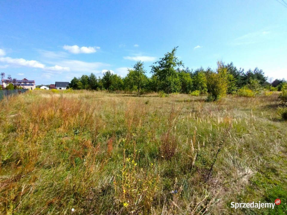 sprzedaży gruntu 2100m2 Bilcza sprzedam