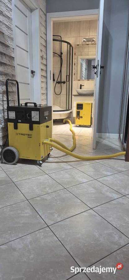 wycieków osuszanie odgrzybianie Gdańsk