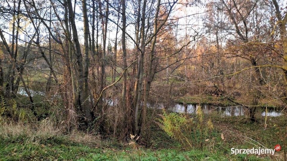 Sprzedam działkę budowlaną z dostępem do rzeki w Sprzedaż