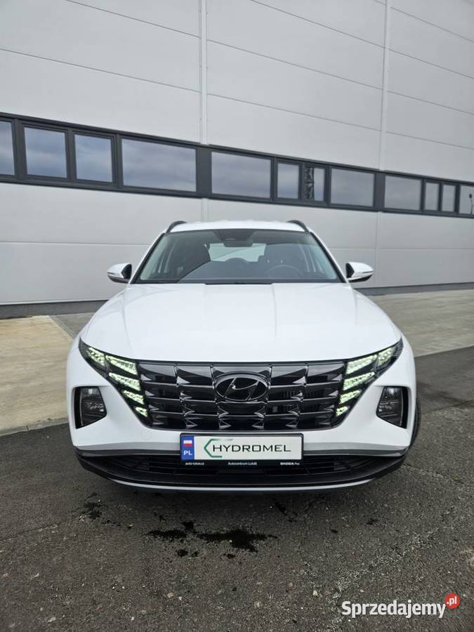 Hyundai Tucson IV 16 2023 nieuszkodzony śląskie Siemianowice Śląskie
