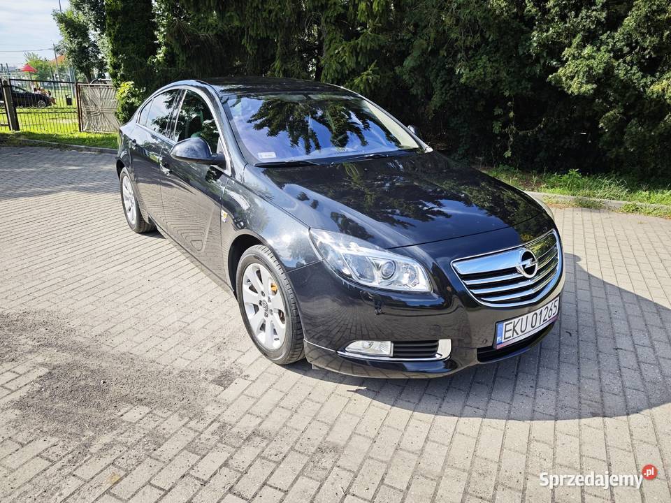Opel Insignia A Cosmo 16 Turbo benzyna 180 OPC benzyna Kutno
