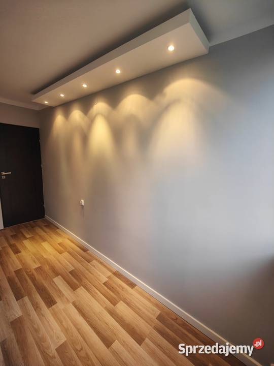 3 pokojowe przytulne mieszkanie remoncie bez 3 piętra i więcej Sprzedaż Wrocław