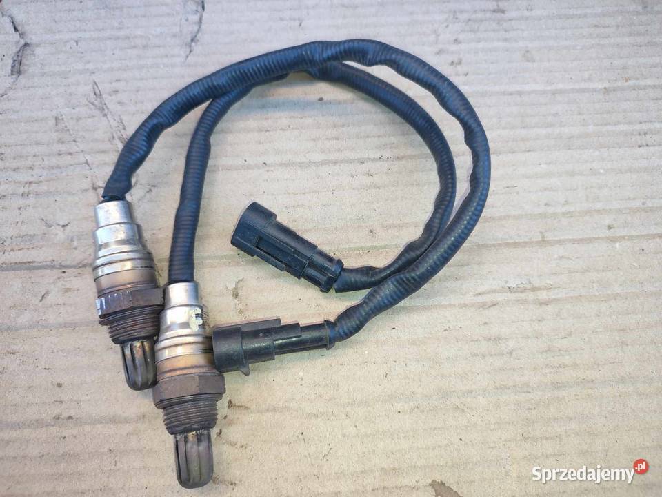 harley sondy Głogów Małopolski