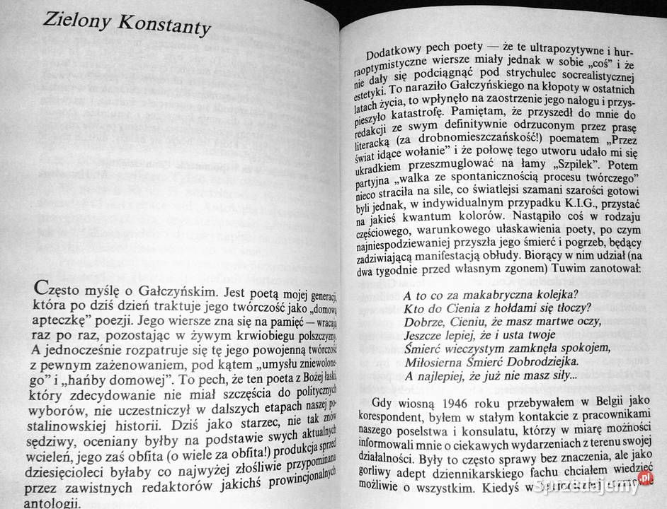 Pchli targ Antoni Marianowicz Rok wydania 1991 lubelskie Chełm