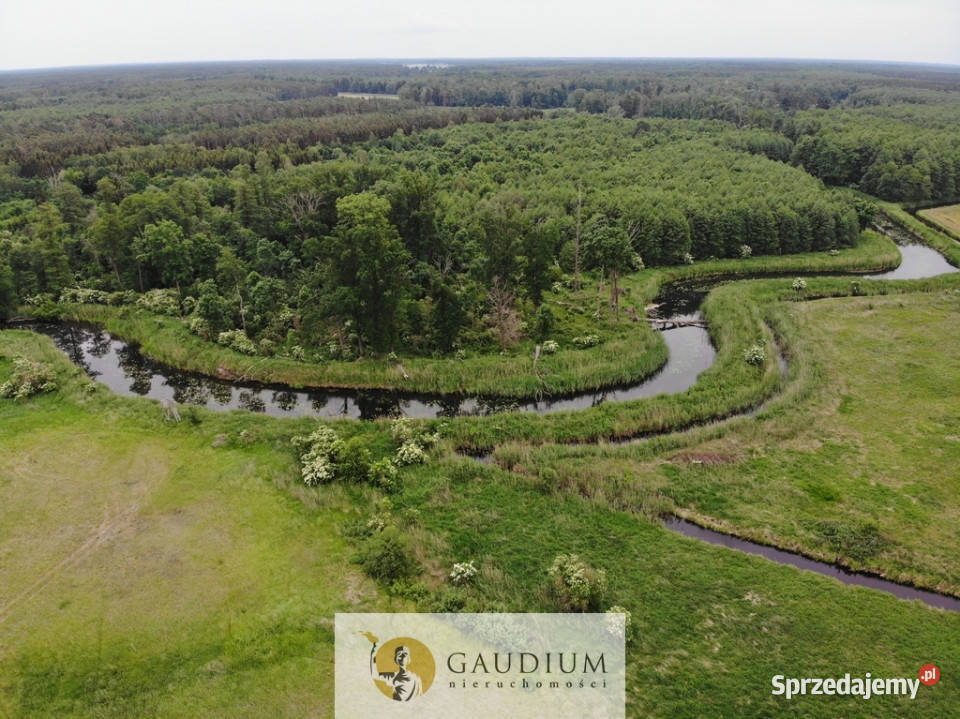 Turystyka brzegiem rzeki Obry Karszyn sprzedam