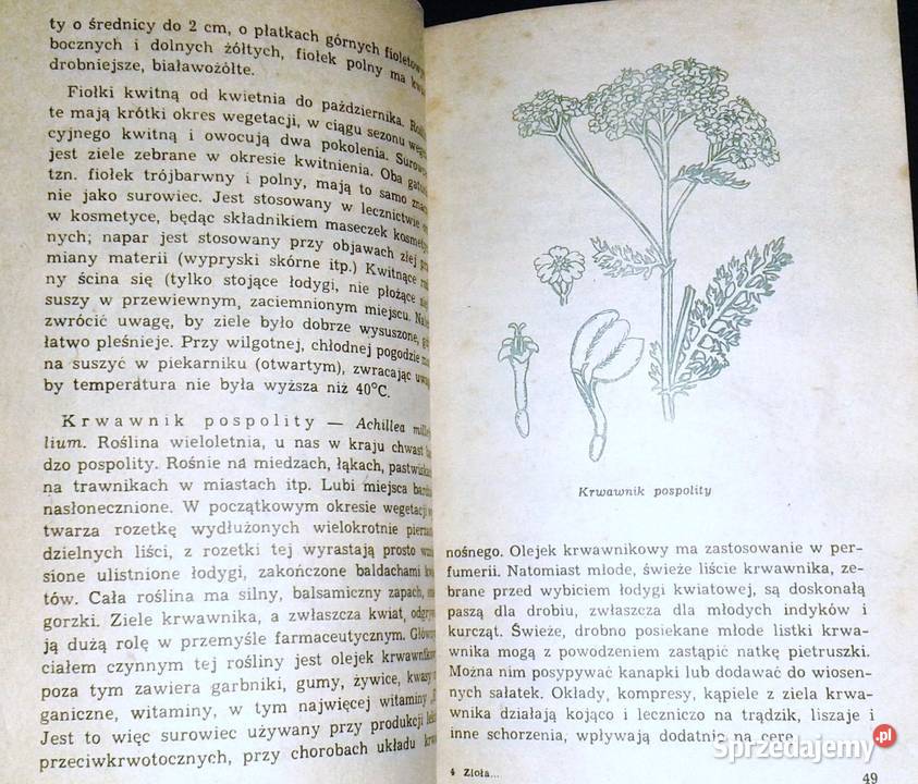 Zioła w gospodarstwie domowym Janina Obidzińska Chełm sprzedam
