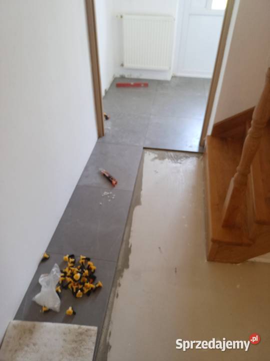 Okazia podkarpackie Krosno