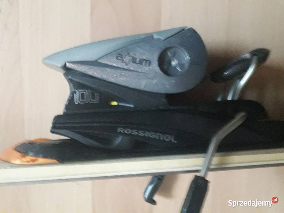 sprzedam narty widoczne na zdjęciach