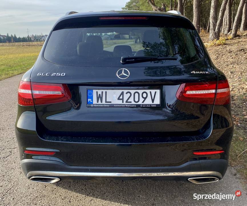 Mercedes GLS Salon I właściciel 100 Serwis ASO GLC