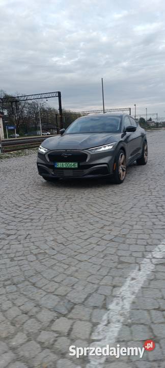 Mustang mache kurtyny powietrzne Jarosław