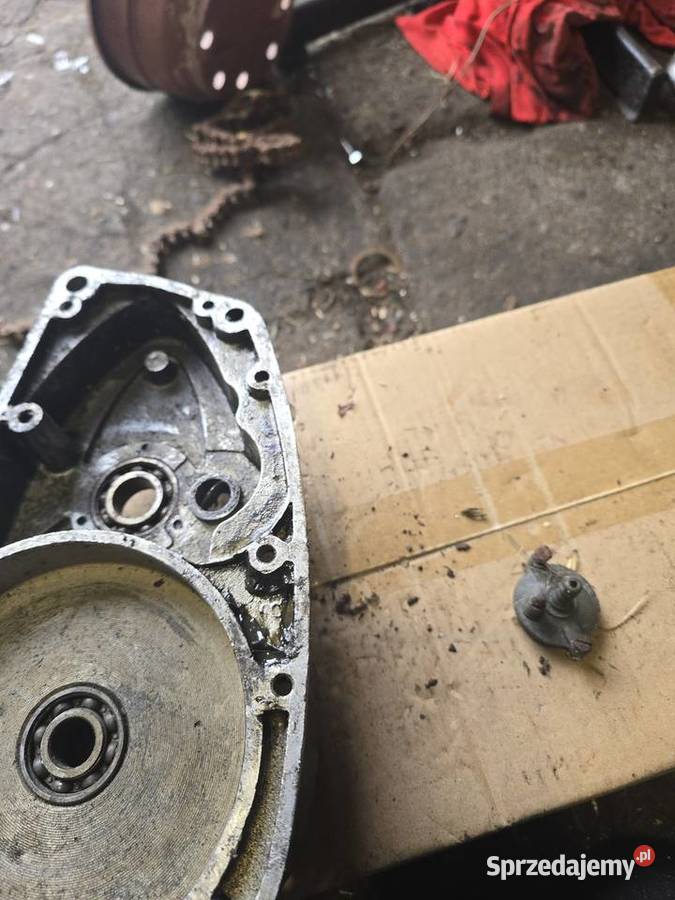 Kartery wsk 125 Gorzów Wielkopolski