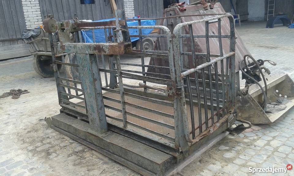 Waga do bydła żywca koni Huta Nowa