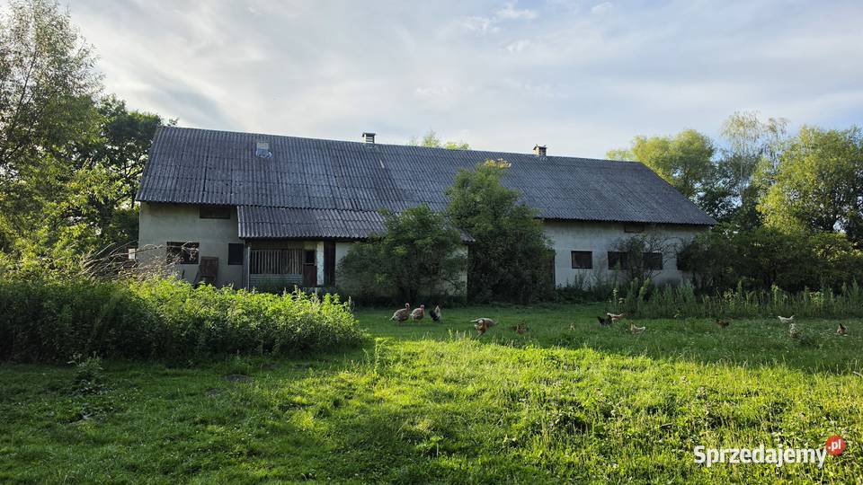 Działka budowlana z budynkiem gospodarczym Michałów