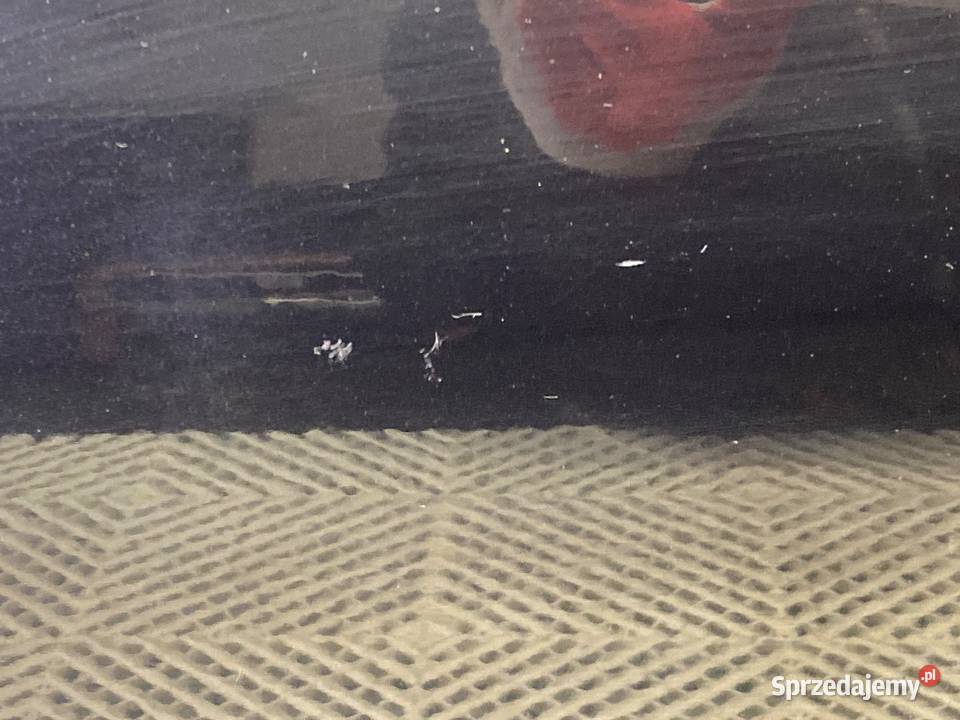 DRZWI LEWY PRZÓD RENAULT LAGUNA III Kombi 0715