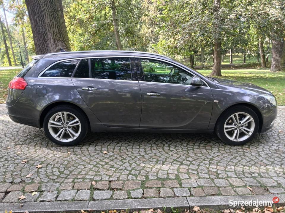 Opel Insignia 2010 20 Diesel EL Klapa BiXenon diesel Przeworsk