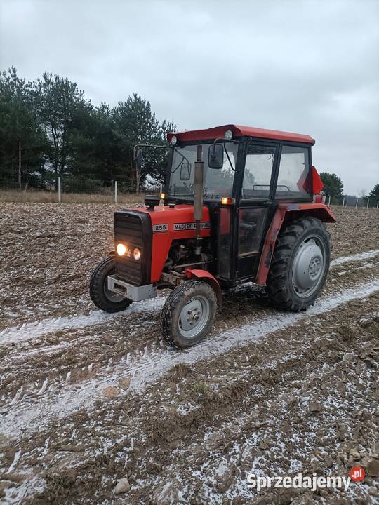 Massey Ferguson 255 sprzedam
