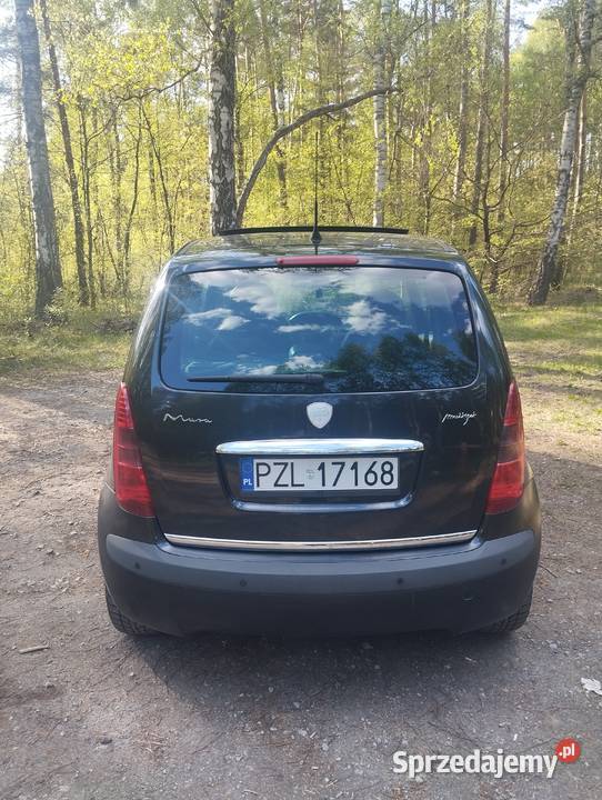 Lancia Musa Diesel 19 JTD 74kW 2007 Poznań