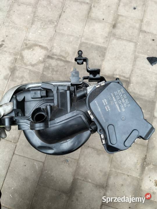 KOLEKTOR SSĄCY 32 FSI CALA A4 B8 śląskie Kończyce Małe