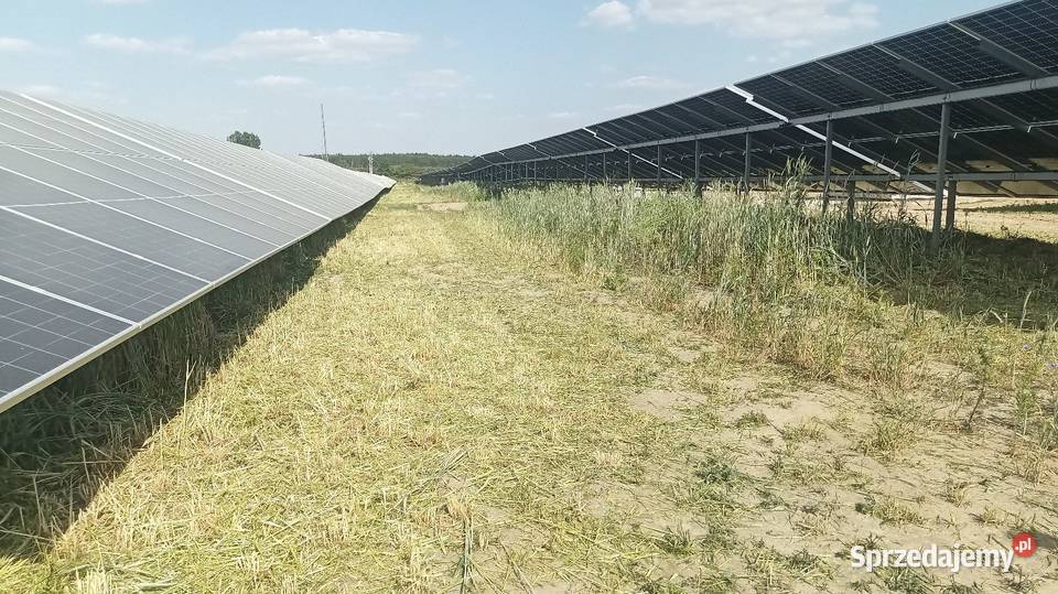 Koszenie zieleni Mycie Farm Fotowoltaicznych Warszawa
