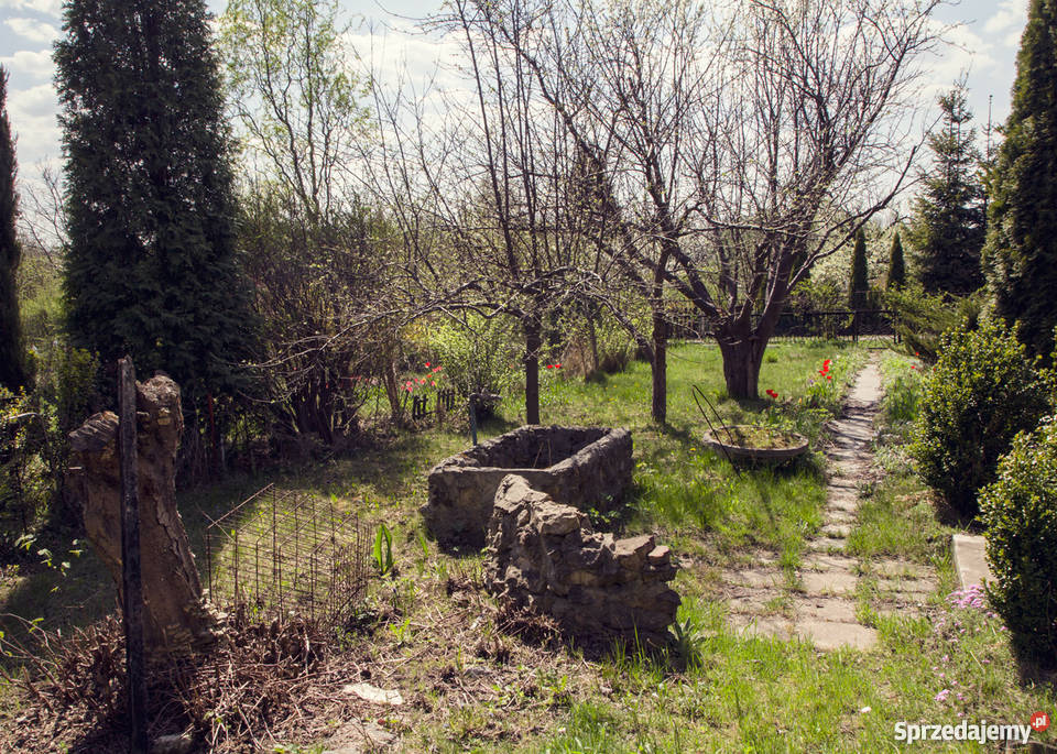 Ogródek działkowy Będzin niedaleko M1 siatka Będzin