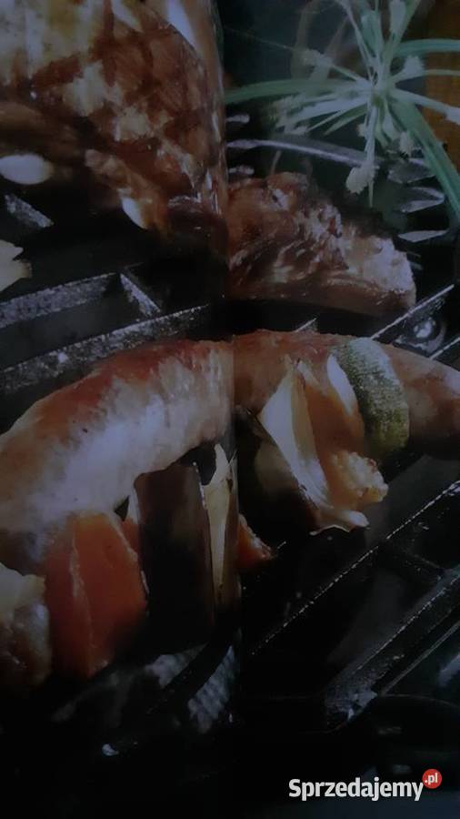 Grill fartuch