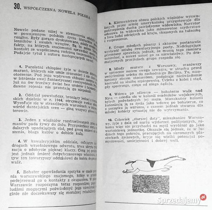 500 zagadek literackich Andrzej Wasilewski lubelskie Chełm