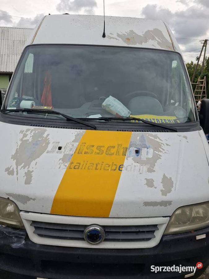 Bus ducato 23 jtd sprowadzony Fiat Seroczyn