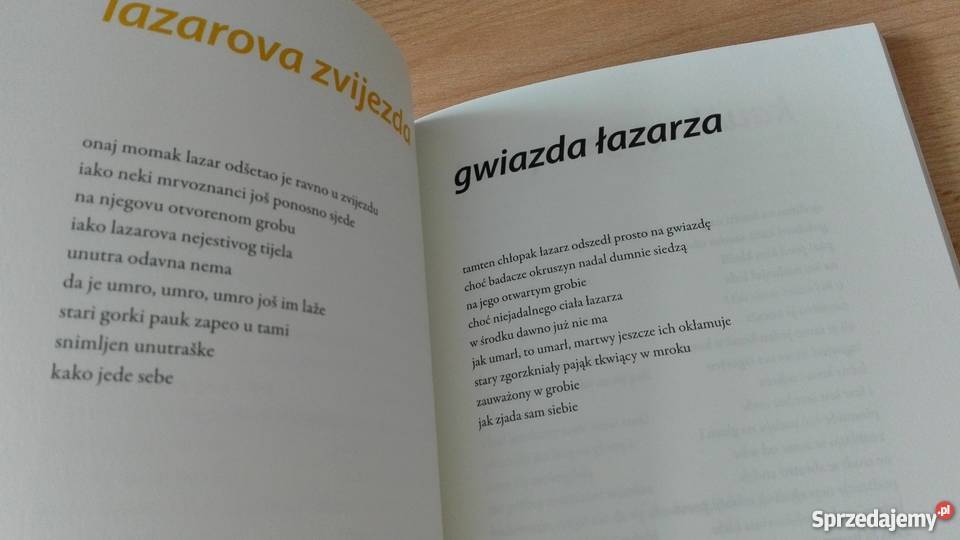 Kanapa na rynku Kau na trgu Dorta Jagić Proza i poezja pomorskie Gdańsk