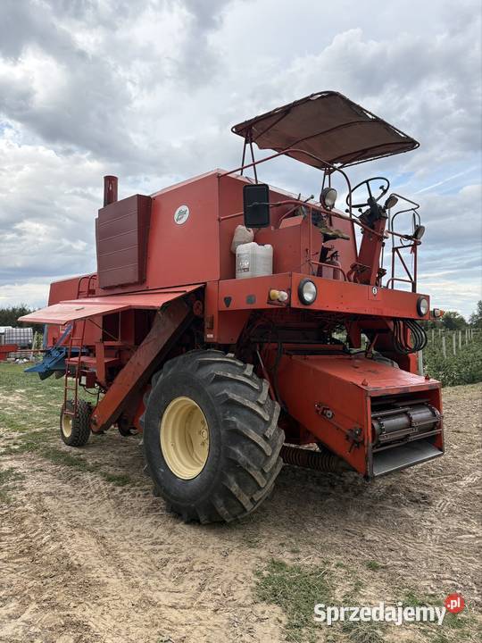 Bizon z056 Urzędów sprzedam