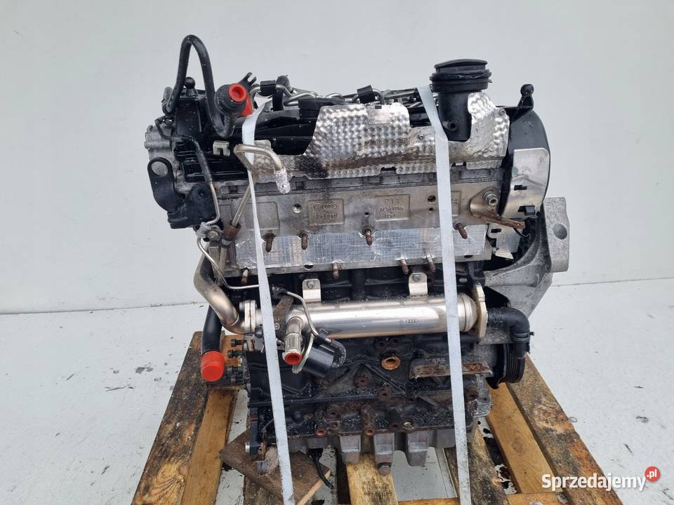 SILNIK BEZ OSPRZĘTU Audi A3 II 8P 20 TDI 140 Silniki kompletne Janów