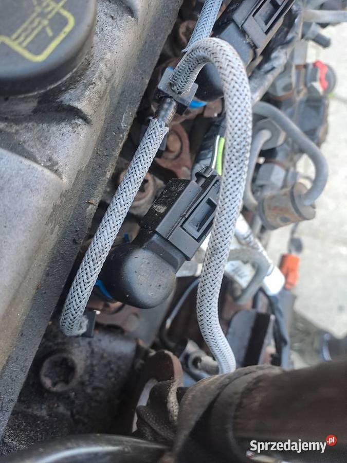 Ford Transit Conect 18 Di silnik kompletny kod Jastrzębie-Zdrój