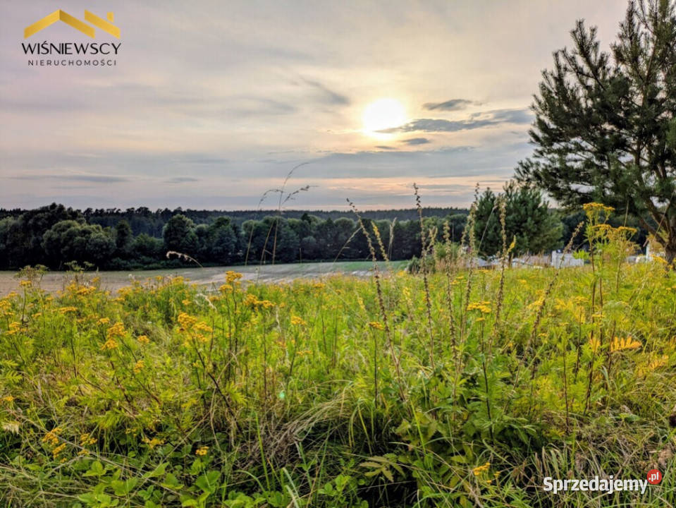 Działka rekreacyjna z widokiem na Jezioro Orkusz Sprzedaż pomorskie Sypanica