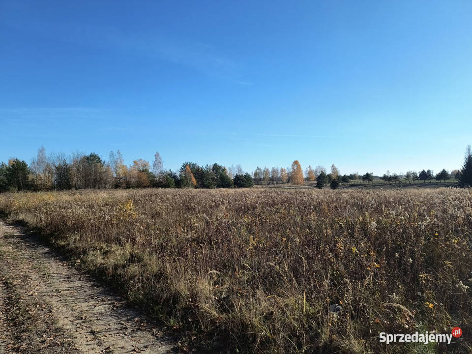 Działka Nowy Staw 14371m2 gaz