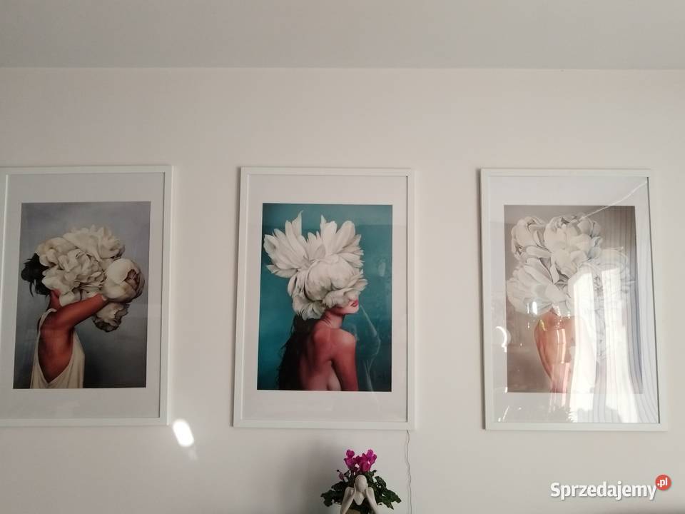 Obraz w ramie 9665 Szczecin