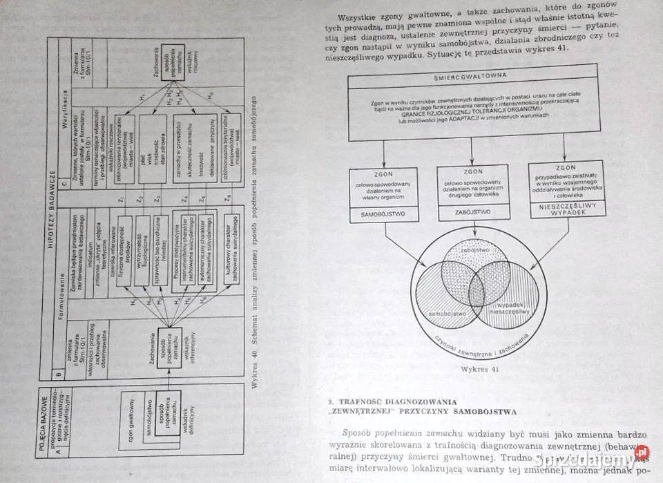 Samobójstwo Przypadek czy konieczność Brunon Chełm sprzedam
