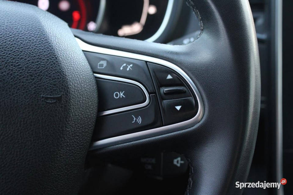 Renault Grand Scenic 2019r Czuj Parkow CarPlay pomorskie Gdańsk